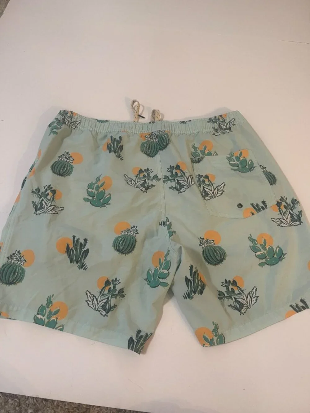 Public Access XL Cactus Print Swim Trunks Mint Green Beach Shorts